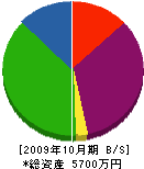 羽山電気 貸借対照表 2009年10月期