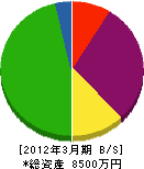 桜井住宅設備 貸借対照表 2012年3月期