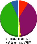智咲総業 貸借対照表 2010年3月期