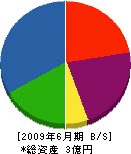 宝永技建 貸借対照表 2009年6月期