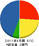 栄進電工 貸借対照表 2011年6月期