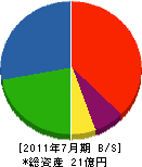 小柳商会 貸借対照表 2011年7月期