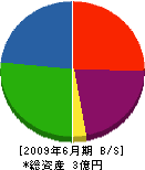 和田山設備 貸借対照表 2009年6月期