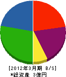 真田電気設備 貸借対照表 2012年3月期