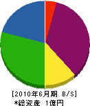 中村電気工事 貸借対照表 2010年6月期