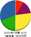 佐藤電気工業社 貸借対照表 2010年7月期