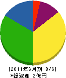 浜田電機 貸借対照表 2011年6月期