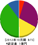 笹生塗装店 貸借対照表 2012年10月期