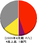 渡辺塗料 損益計算書 2009年4月期