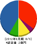 刈羽電工 貸借対照表 2012年6月期