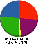 和田山設備 貸借対照表 2010年6月期