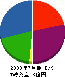 石川工業 貸借対照表 2009年7月期