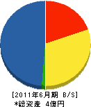中沢工務店 貸借対照表 2011年6月期