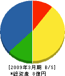 日本インカ 貸借対照表 2009年3月期