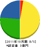 中沢組 貸借対照表 2011年10月期
