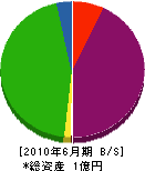 インテリア鈴木商会 貸借対照表 2010年6月期