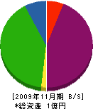 ユーアス 貸借対照表 2009年11月期
