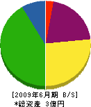 ミヤイ電設 貸借対照表 2009年6月期