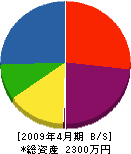 今井塗装 貸借対照表 2009年4月期