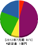 櫻井防災 貸借対照表 2012年7月期
