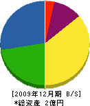 保田塗装店 貸借対照表 2009年12月期