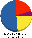 タカハタ 貸借対照表 2008年9月期