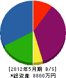 元木建設 貸借対照表 2012年5月期