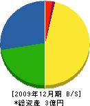 ＊松ガス 貸借対照表 2009年12月期