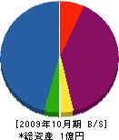 中道造園土木 貸借対照表 2009年10月期
