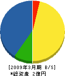 弘青さく泉工業所 貸借対照表 2009年3月期