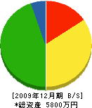 永野建設 貸借対照表 2009年12月期