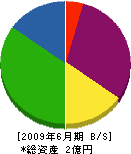 木村建材 貸借対照表 2009年6月期