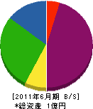 森川ガーデン 貸借対照表 2011年6月期