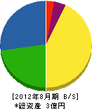 丸正庭石店 貸借対照表 2012年8月期