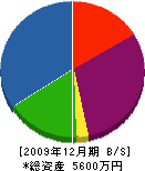 瀬尾建設 貸借対照表 2009年12月期