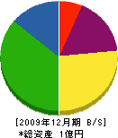 細川造園 貸借対照表 2009年12月期