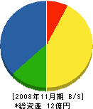 山田塗装 貸借対照表 2008年11月期