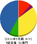三栄電気工業 貸借対照表 2012年5月期