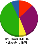 嶋田実業 貸借対照表 2009年6月期