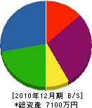 近藤緑保 貸借対照表 2010年12月期