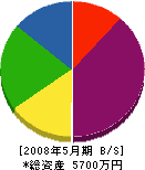 橋沢設備工業 貸借対照表 2008年5月期