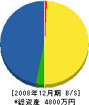 勝亦工業所 貸借対照表 2008年12月期