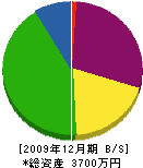 丸杉装飾 貸借対照表 2009年12月期