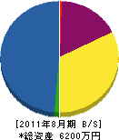 カネタケ建設 貸借対照表 2011年8月期
