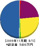 椎名土建 貸借対照表 2009年11月期