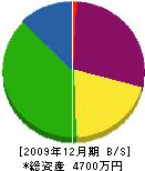 柳田庭園 貸借対照表 2009年12月期
