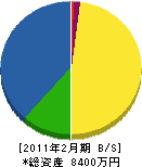 廣清商店 貸借対照表 2011年2月期