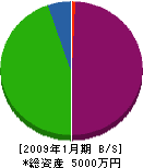 小川電気工事 貸借対照表 2009年1月期