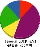 勝喜土木 貸借対照表 2009年12月期