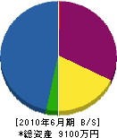 松風園 貸借対照表 2010年6月期